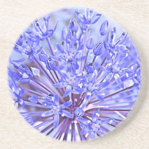 Posavasos Azul de la flor del allium