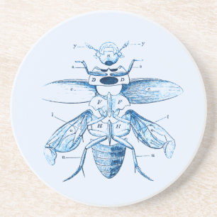 Posavasos Azul de los escarabajos el   de la entomología el
