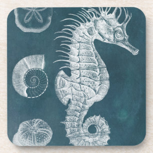 Posavasos Azure Seahorse Study I