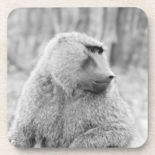 Posavasos Babuino africano