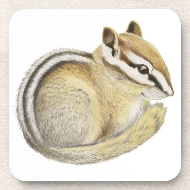 Posavasos Baby Chipmunk (Frente)