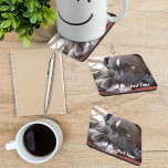 Posavasos Baby Pitbull Puppy<br><div class="desc">Mira este adorable cachorro acurrucado en una silla. Se ve seguro y cálido, lo que deberían hacer todos los toros. ¿Quién puede resistir esta cara? Personalizar estas tilas con la foto de su propio perro y sus propias palabras de afecto o su nombre. Puede usarse con cualquier mascota o foto...</div>