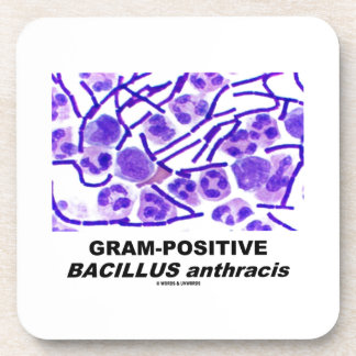Posavasos Bacilo anthracis grampositivo (bacterias)