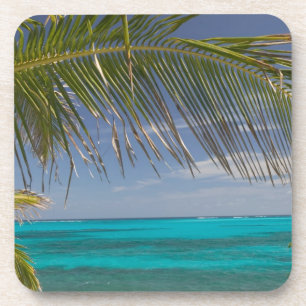 Posavasos BAHAMAS, Abacos, Cays Loyalistas, Cayo Man O'War: