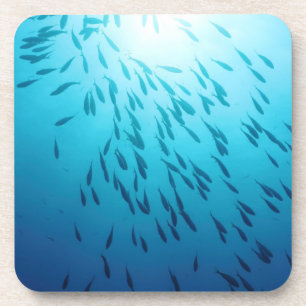 Posavasos Bajío de pescados