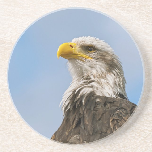 Posavasos Bald Eagle (Frente)