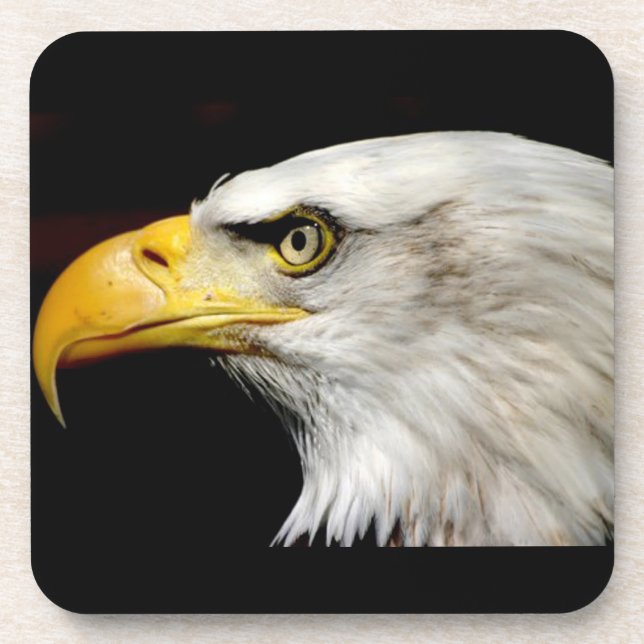 Posavasos Bald Eagle (Frente)