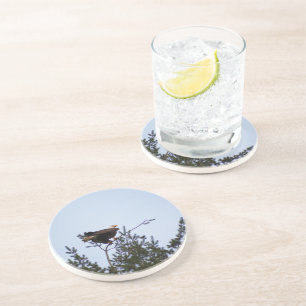 Posavasos Bald Eagle