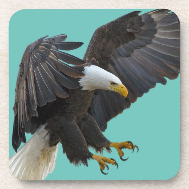 Posavasos Bald eagle (Frente)
