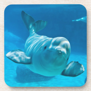 Posavasos Ballena de la beluga