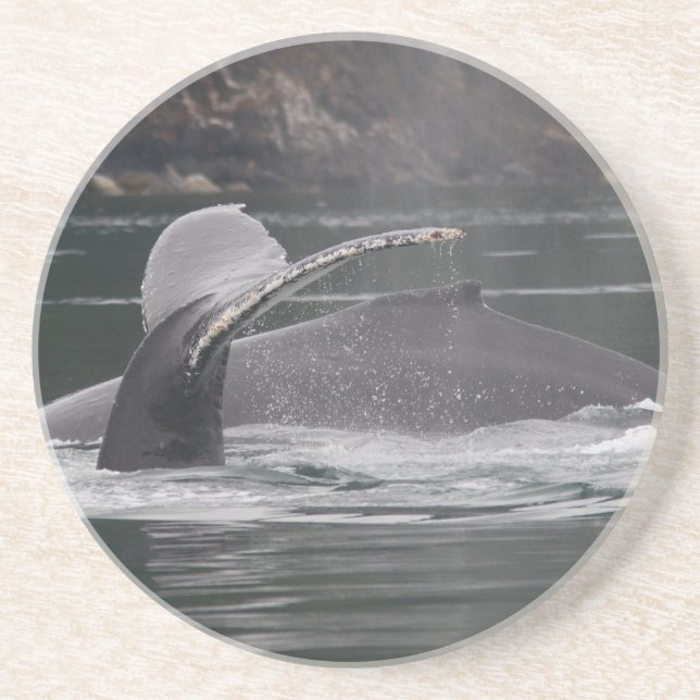 Posavasos ballenas (Frente)