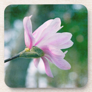 Posavasos Ballerina Magnolia