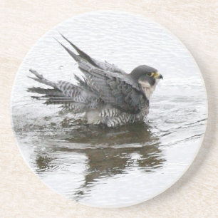 Posavasos Baño de los prácticos de costa de la bebida de l