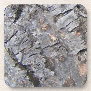 Posavasos Baraja de árbol