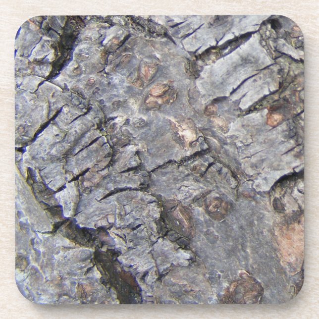 Posavasos Baraja de árbol (Frente)