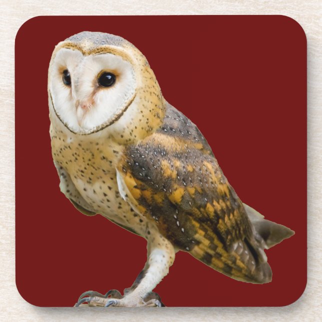 Posavasos Barn Owl (Frente)