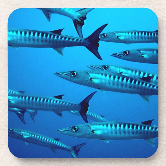 Posavasos barracuda buceo profundo mar océano agua tropical  (Frente)