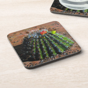 Posavasos Barrel Cactus Plastic Coasters
