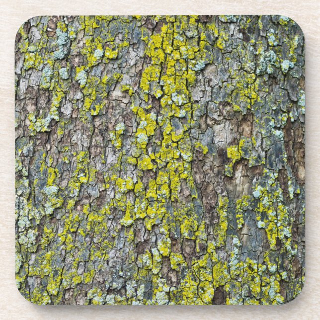 Posavasos Barrera (Frente)