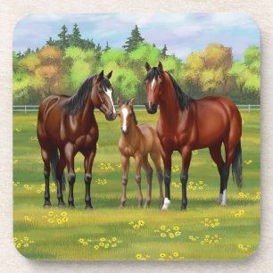 Posavasos Barrio Marrón De Caballos En Pasto De Verano