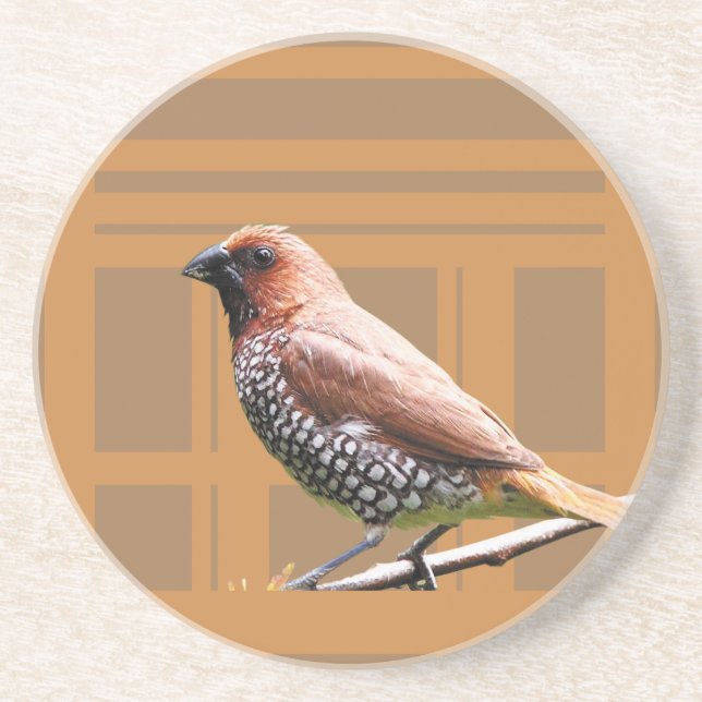 Posavasos Barware & Bar Tools > Coasters (Frente)