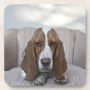 Posavasos Basset Hound