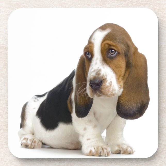 Posavasos Basset Hound (Frente)