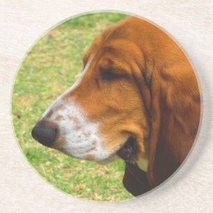 Posavasos basset-hound.png
