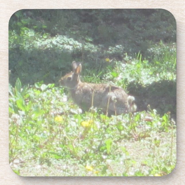 Posavasos Bastones de conejito salvaje - Conjunto de 6 (Frente)