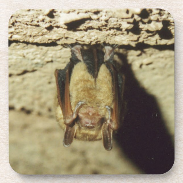 Posavasos Bat (Frente)