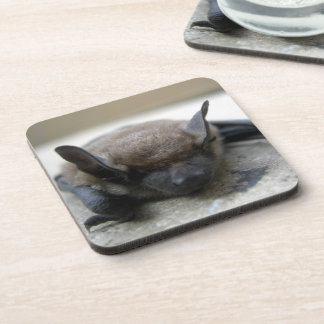 Posavasos Bate marrón pequeño (Myotis lucifugus)