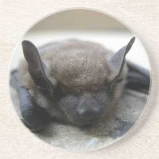 Posavasos Bate marrón pequeño (Myotis lucifugus)