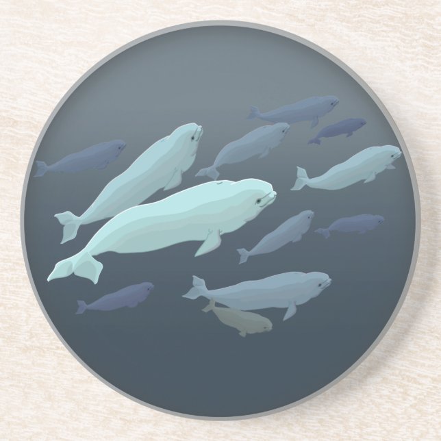 Posavasos Baterías de ballena de Beluga (Frente)