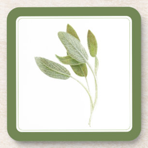 Posavasos Baterías de plástico duro de SAGE FRESCO (-texto) 