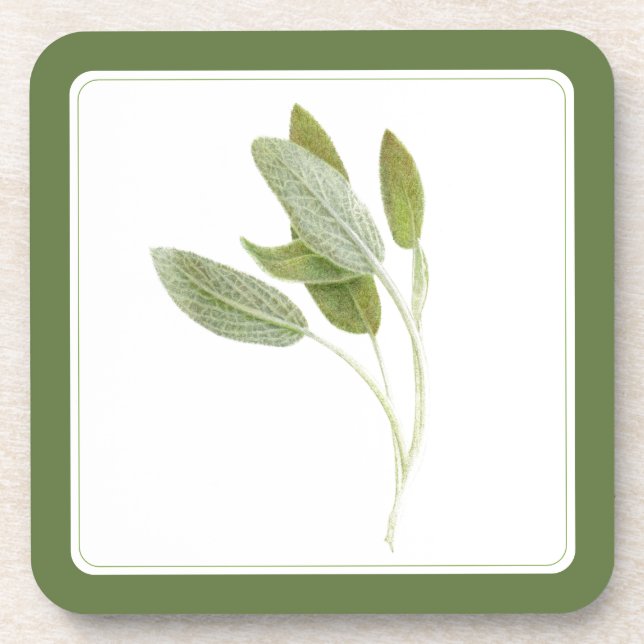 Posavasos Baterías de plástico duro de SAGE FRESCO (-texto)  (Frente)