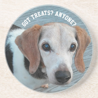 Posavasos Beagles Love Trates Funny Dog Gift