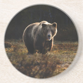 Posavasos Bear Coaster