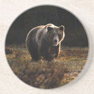 Posavasos Bear Coaster