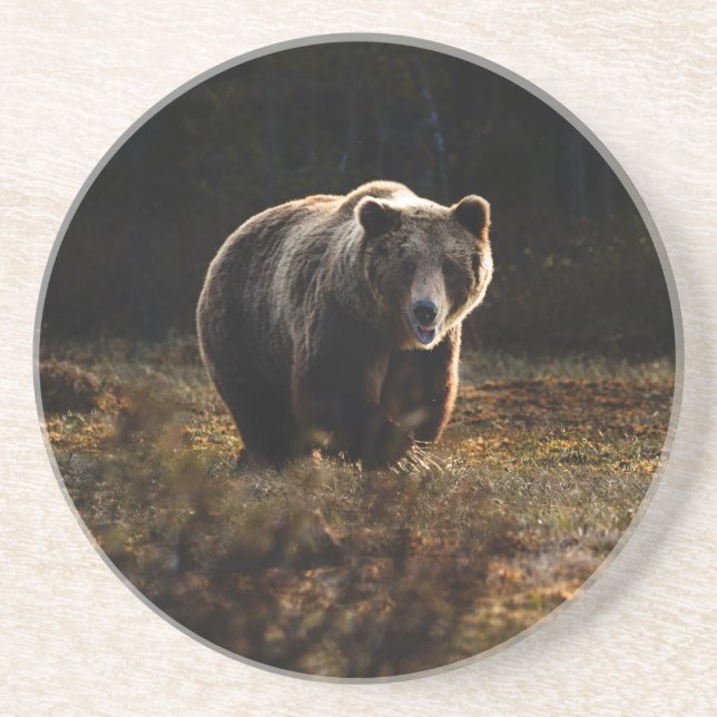Posavasos Bear Coaster (Frente)