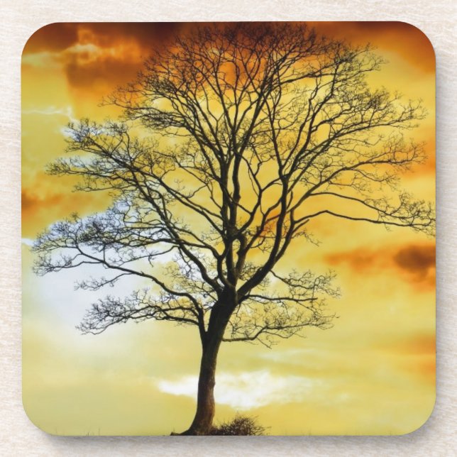 Posavasos Beautiful Sunset Scenic Landscape Photographic Art (Frente)