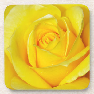 Posavasos Beautiful yellow rose petals