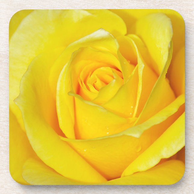 Posavasos Beautiful yellow rose petals (Frente)