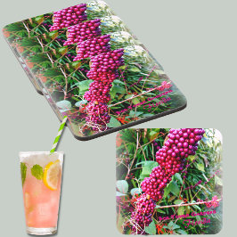 Posavasos Beautyberry estadounidense en Bok Tower Gardens Fl