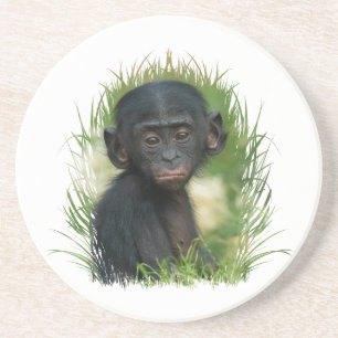 Posavasos Bebé Bonobo Ape