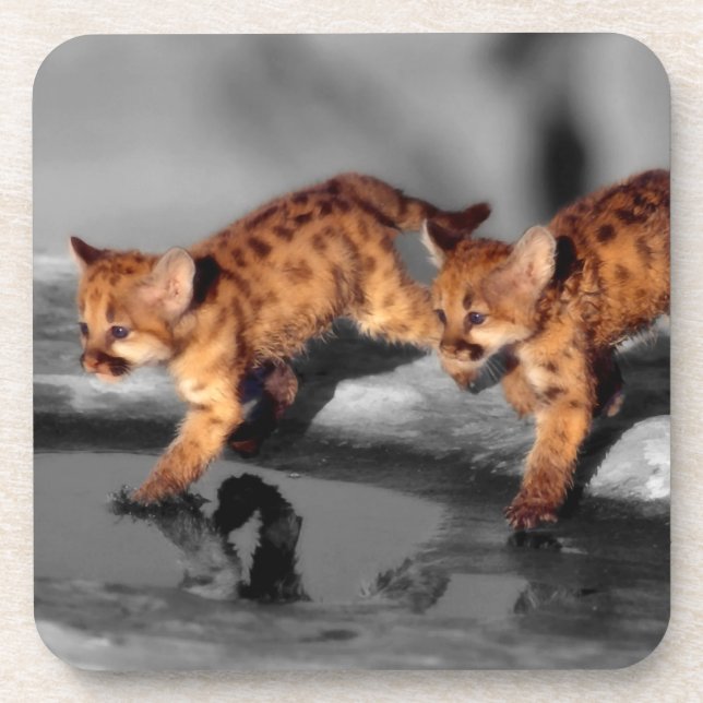 Posavasos Bebé leopardo (Frente)