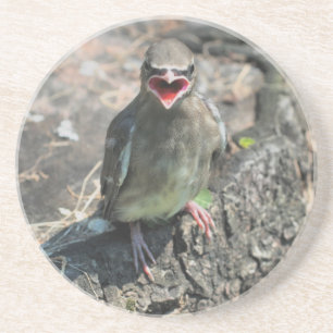 Posavasos Bebé lindo Bird Naturaleza Beber Pascua