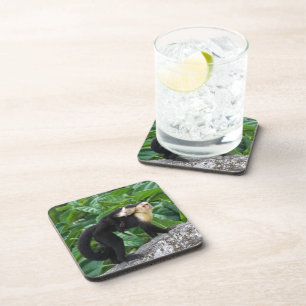 Posavasos Bebé que lleva del mono adulto del capuchón en s