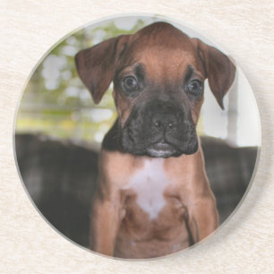 Posavasos Beber Boxer