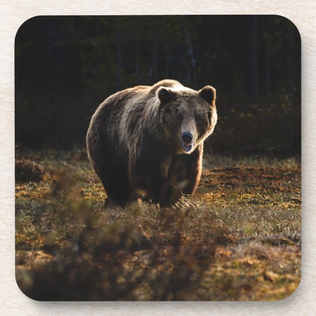 Posavasos Bebida de oso (Frente)