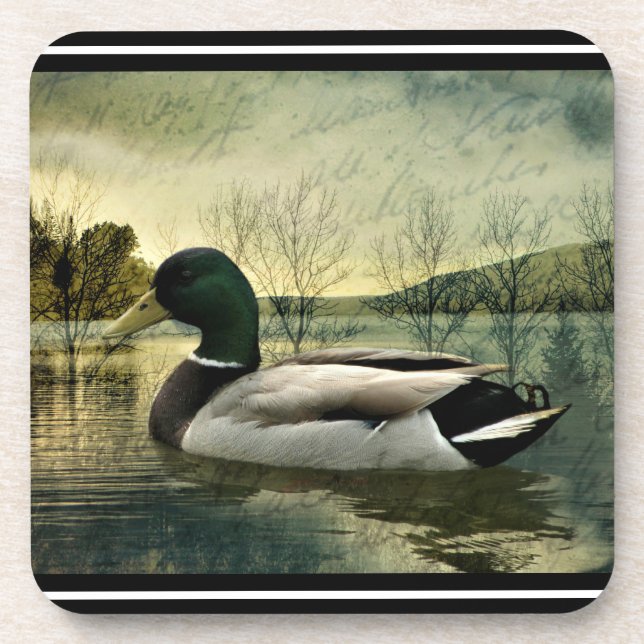 Posavasos Bebida de postales templada de pato malteado de ép (Frente)